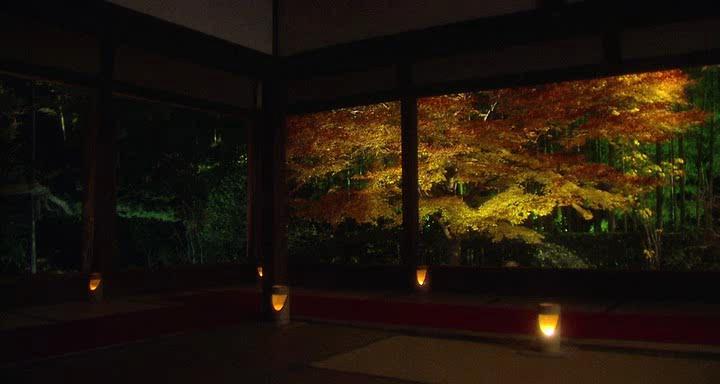    - Kyoto Autumn Color