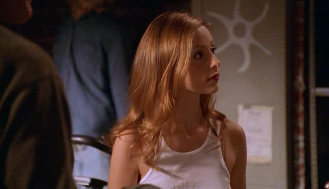  -  .  6 - Buffy the Vampire Slayer. Season VI