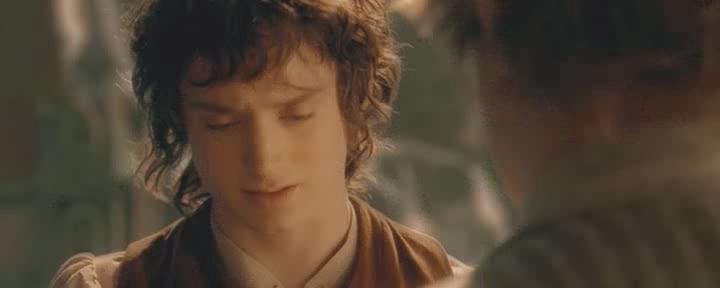  :    - The Lord of the Rings: The Fellowship of the Ring