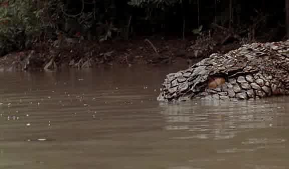 - 2 - Killer Crocodile II