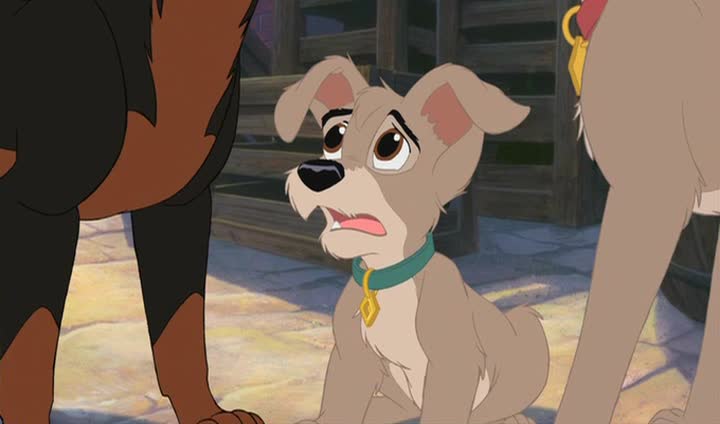    2:   - (Lady and the Tramp II: Scamp's Adventure)