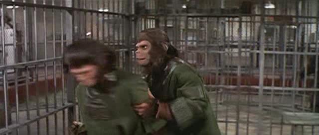    . - Escape from the Planet of the Apes