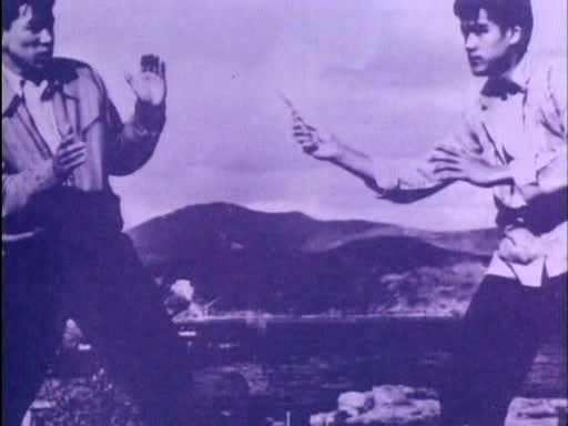  :   - (Bruce Lee: The Legend)