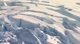  -     - Antarctica Dreaming - WildLife On Ice
