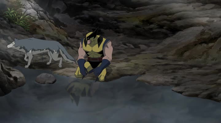    - Hulk vs. Wolverine