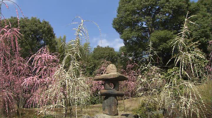  :  -      - Virtual Trip: Kyoto Shiki Hyakkei - The Four Season of Kyoto The Beautiful Ancient Capital