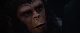    - Conquest of the Planet of the Apes