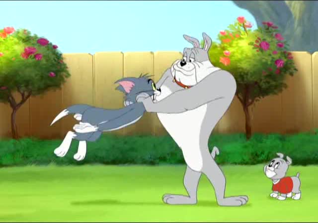   :    - Tom and Jerry: In the Dog House