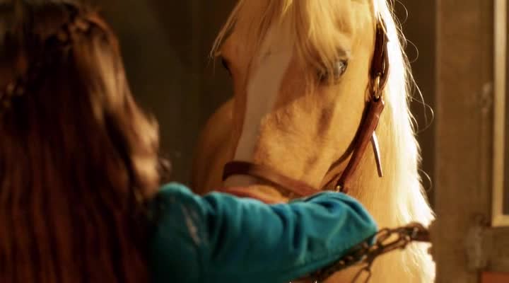    - Princess and the Pony