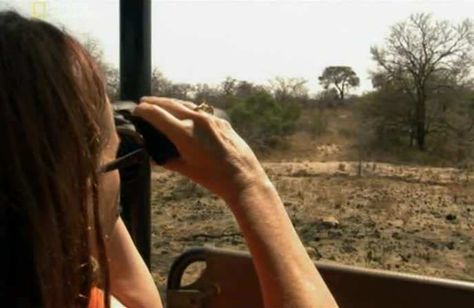   :     - Caught on safari: Battle at kruger