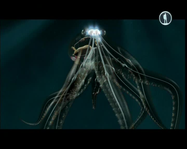     - Aliens of the Deep Sea
