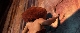 Семейка Крудс - The Croods