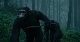 Планета обезьян: Революция - Dawn of the Planet of the Apes