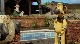 Барашек Шон: Фермерский бедлам - Shaun the sheep- The farmer's llamas