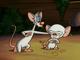 Пинки и Брейн. Сезон 2 - Pinky and the Brain. Season II