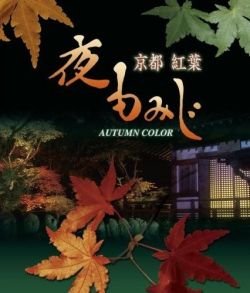    - Kyoto Autumn Color