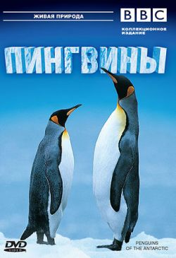:  - BBC: Penguins of the Antarctic