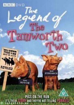   - The Legend of the Tamworth Two