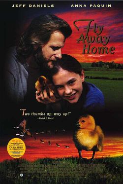   - Fly Away Home