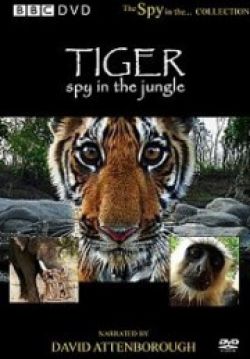 BBC:  -   - Tiger: Spy in the Jungle