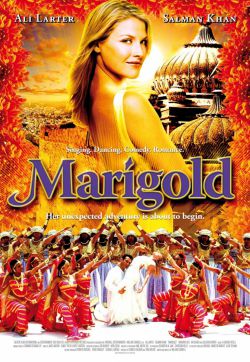 :    - Marigold