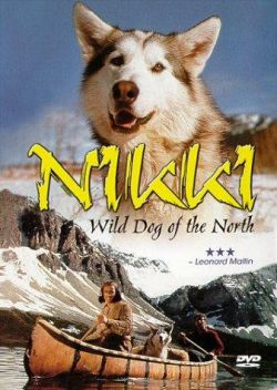    - Nikki, Wild Dog of the North