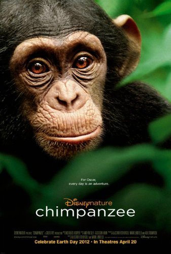  - (Chimpanzee)