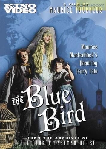   - (The Blue Bird)