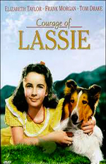   - (Courage of Lassie)