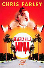 Ниндзя из Беверли Хиллз - (Beverly Hills Ninja)