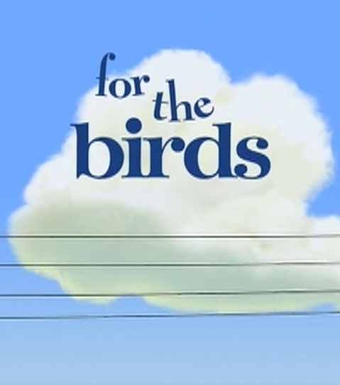   - (For the Birds)