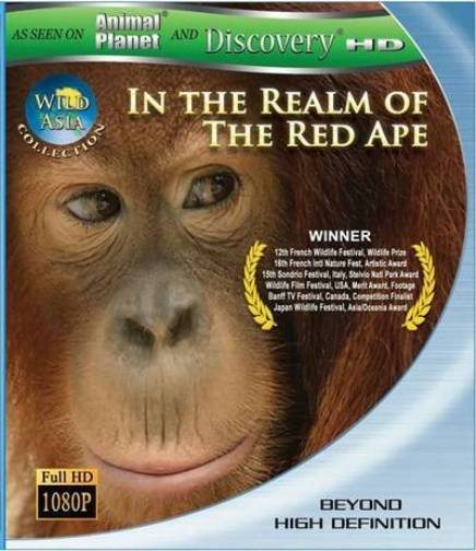 Discovery:  :     - (Wild Asia: In the Realm Of The Red Ape)