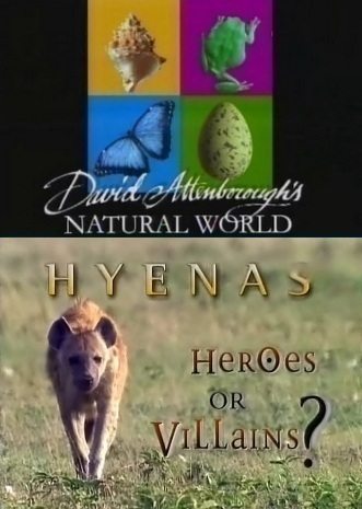 BBC:   :     - (BBC: Hyenas herOes or ViLLains)