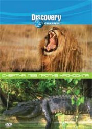 Discovery. :    - (Animal Face-Off: Lion vs. Nile crocodile)