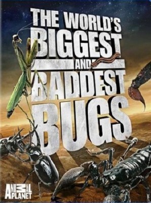 Animal Planet.        - (World's Biggest and Baddest Bugs)