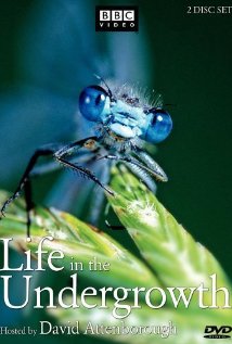 BBC.    - (BBC. Life in the Undergrowth)