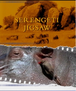   - Serengeti Jigsaw
