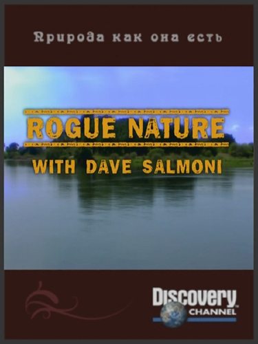Discovery: ,   ,   .  - (Rogue Nature With Dave Salmoni. Lion)