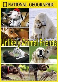 National Geographic:   - (National Geographic: Unlikely Animal Friends)