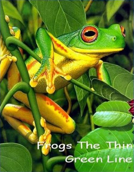 National Geographic:     - (Frogs The Thin Green Line)