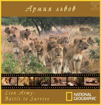 National Geographic:  :    - (Lion Army. Battle To Survive)
