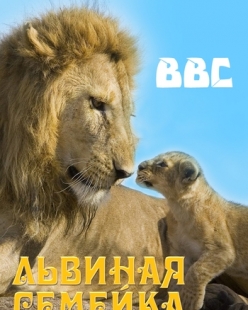 BBC: Львиная Семейка - BBC: Pride