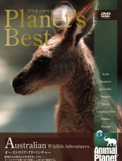 Animal Planet:     - Animal Planet: Australian Wildlife Encounters