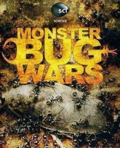 - - Monster bug wars
