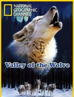   - Valley of the Wolves