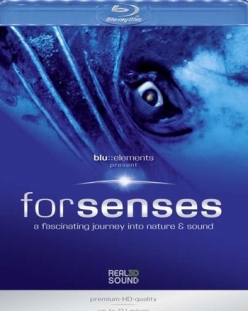        - Blu::elements - Forsenses
