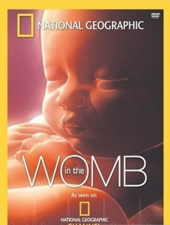   :    -  - In the womb