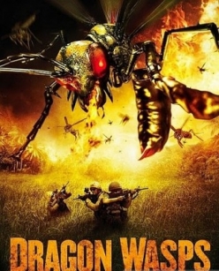   - Dragon Wasps