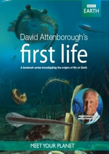 BBC:   - (BBC: David Attenborough's First Life)