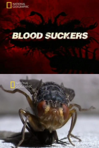 National Geographic:  .  - (Attack of the insects. Bloodsucker)